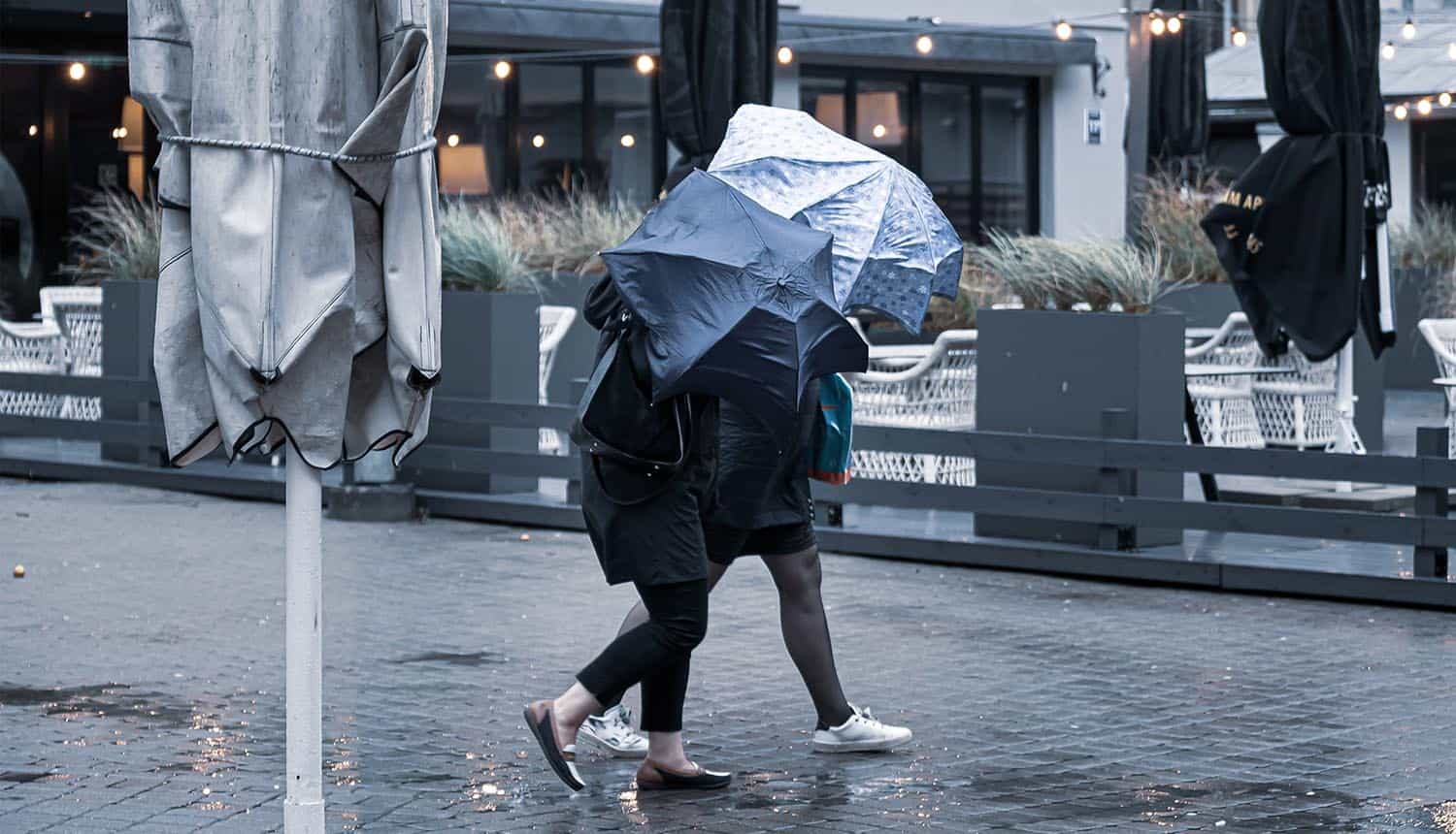 Cyber Insurance Boom: Why Businesses Are Rushing to Close the $1.5 Trillion Coverage Gap